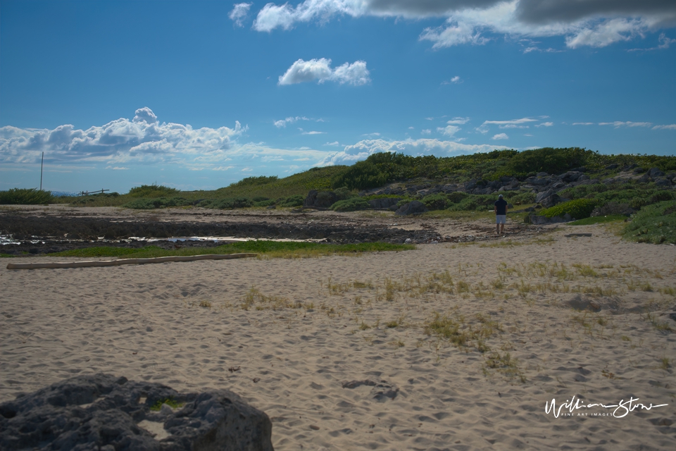 The Beach - Limited Edition, Fine Art