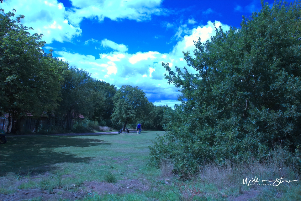 Alone in the Park - Limited Edition, Fine Art