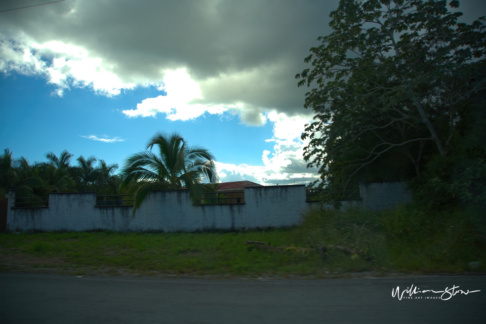 White Fence - Limited Edition, Fine Art