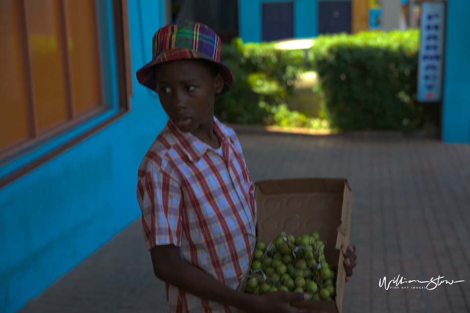 Boxed Fruits - Limited Edition, Fine Art