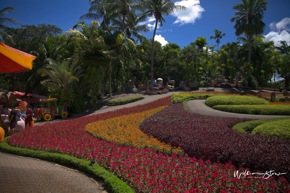 A bed of flowers - Limited Edition, Fine Art