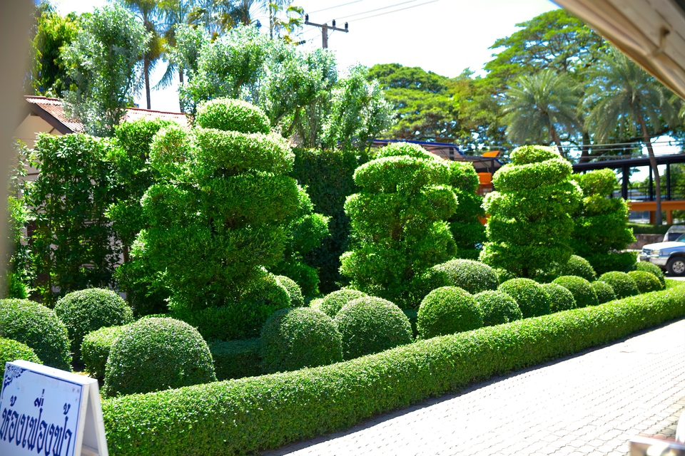 Bunched Up Greens - Limited Edition, Fine Art