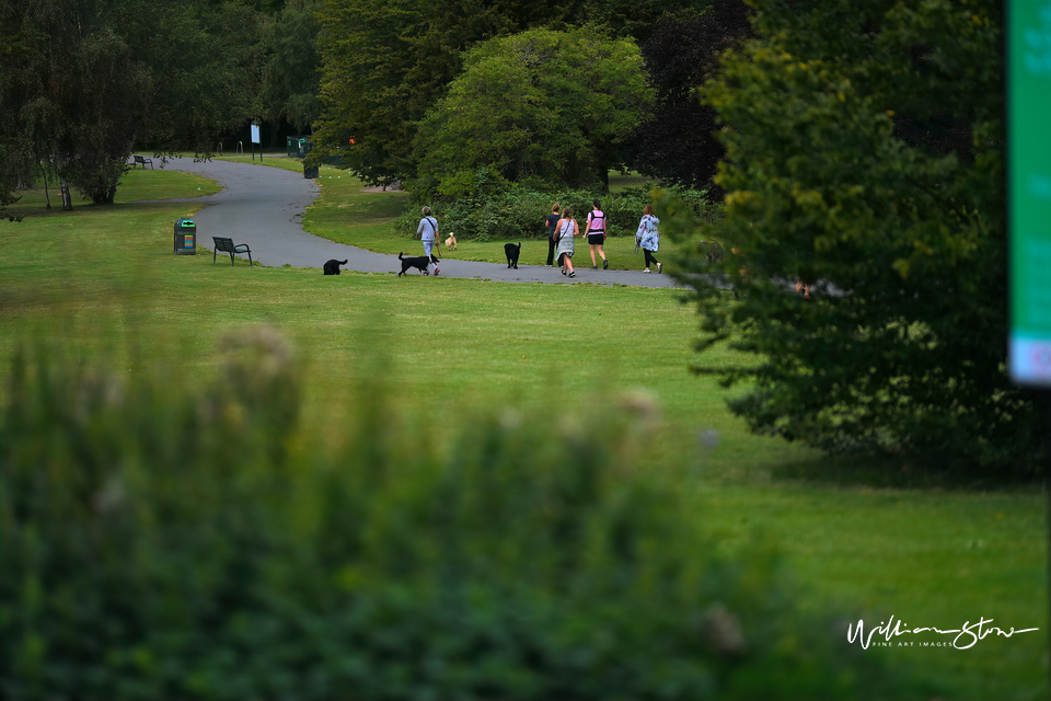 Moms Walking - Limited Edition, Fine Art