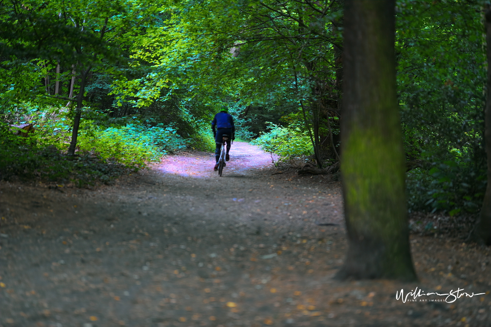 A Lonely Cyclist - Limited Edition, Fine Art