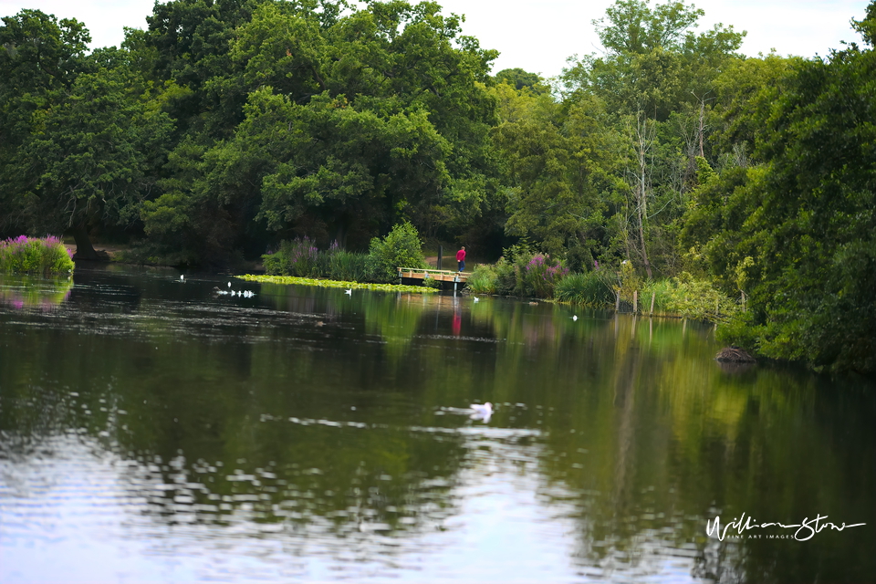 Leaving The Lake - Limited Edition, Fine Art