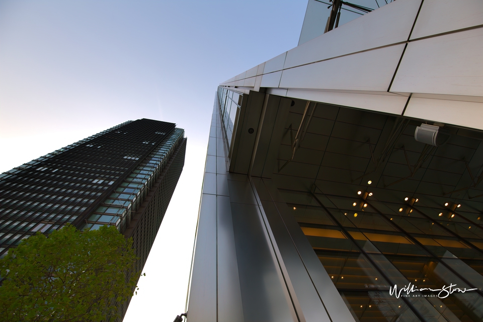 Ground Floor Tall Ceilings, London, Silver and Tall, Tall Next Door, William Stone, London