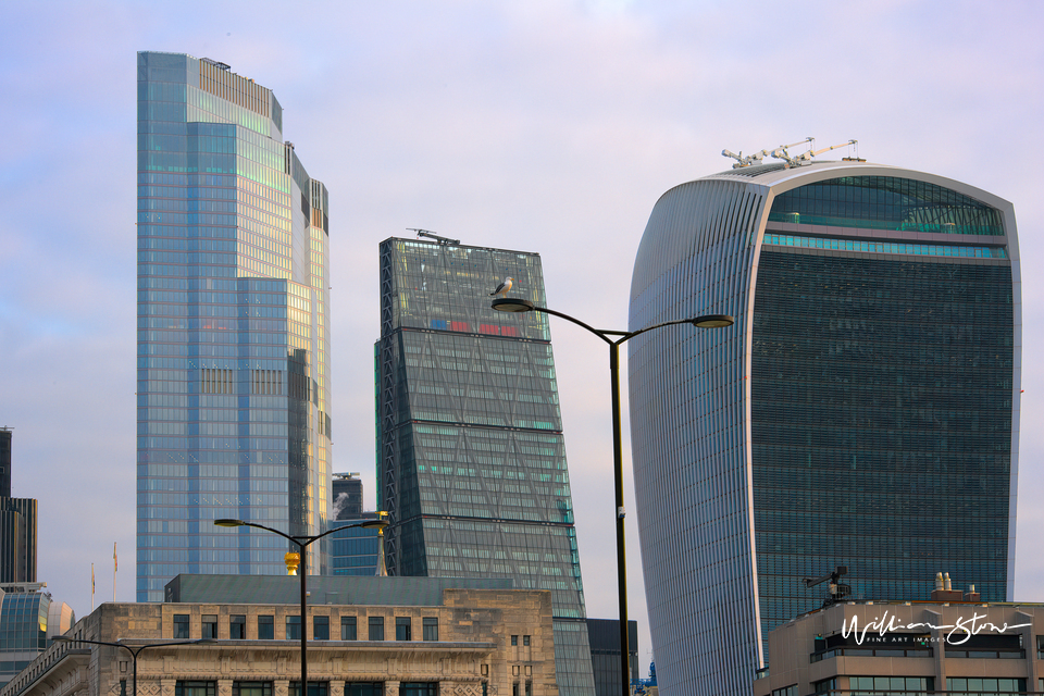 Ground Floor Tall Ceilings, London, Silver and Tall, Tall Next Door, William Stone, London