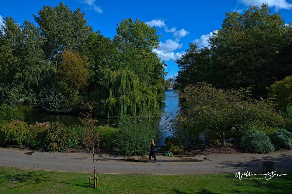 Lone Biker, Through The Bushes To Palace Street, 4 secs to cross, Fine Art, Limited Edition, London, UK