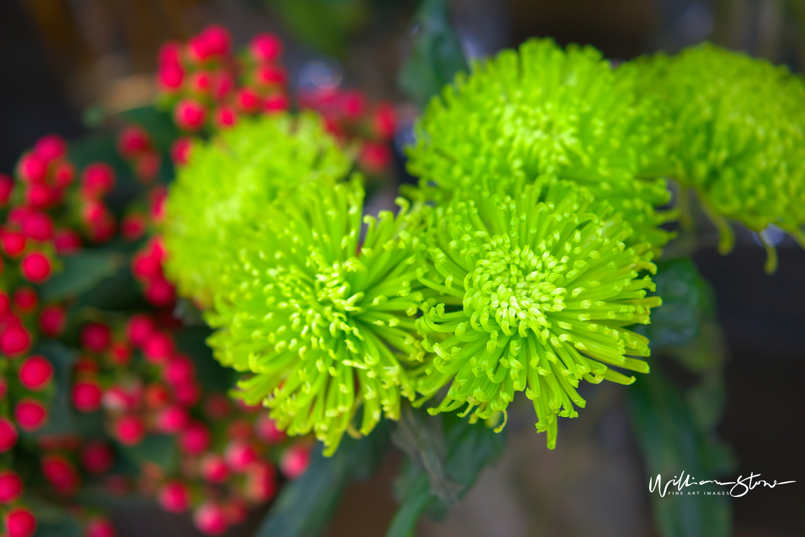 Fine Art, Limited Edition, Bokeh Red, London.