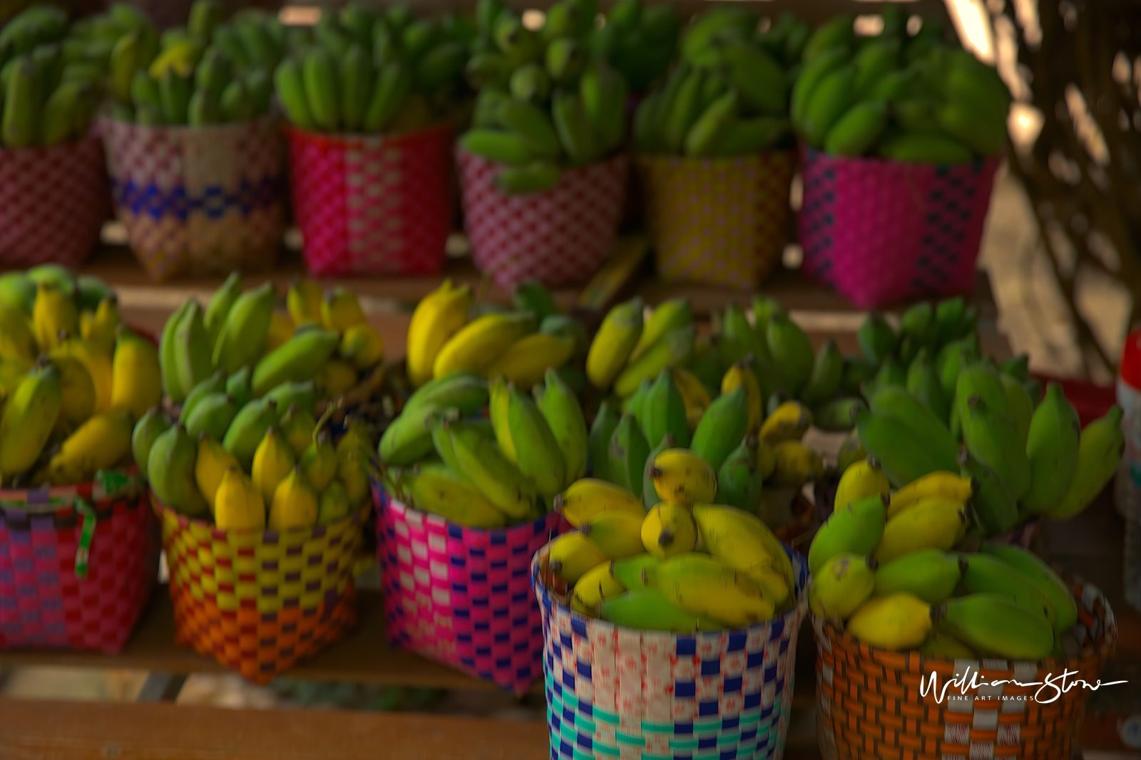 Fine Art, Limited Edition, Colorful Bananas, London.