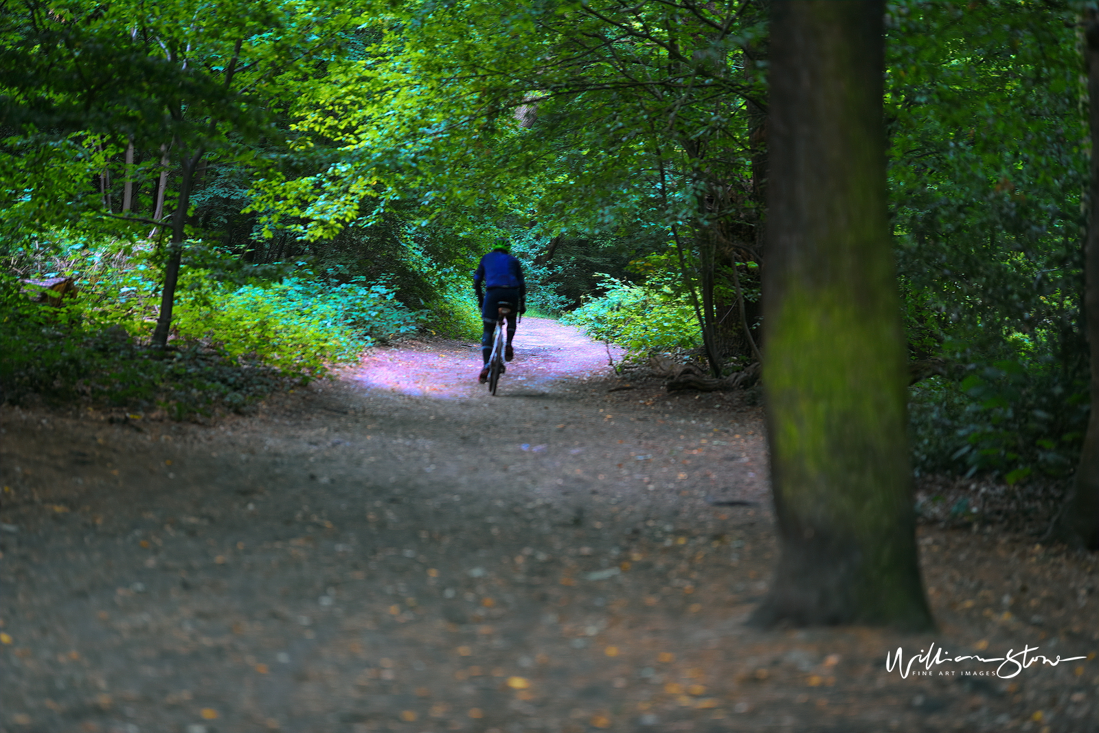 Fine Art, Limited Edition, A Lonely Cyclist, London.