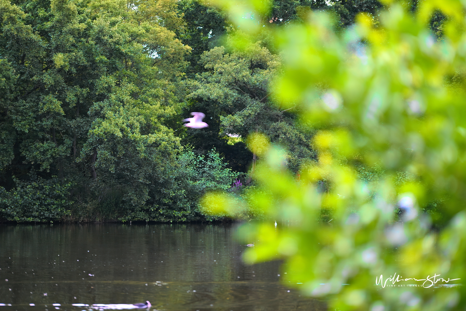 Fine Art, Limited Edition, The Take Off, London.