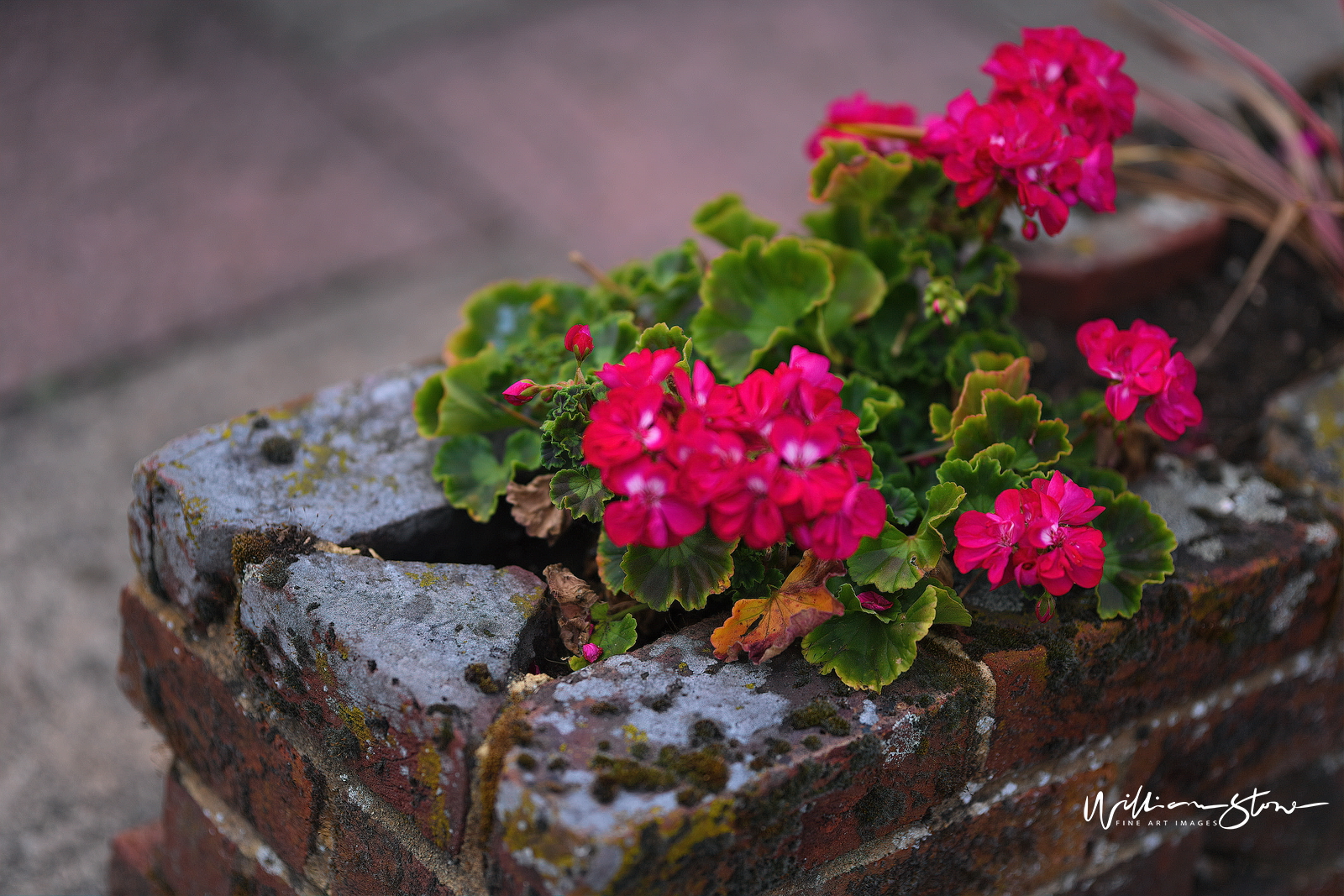 Fine Art, Limited Edition, Reddish Brick, London.