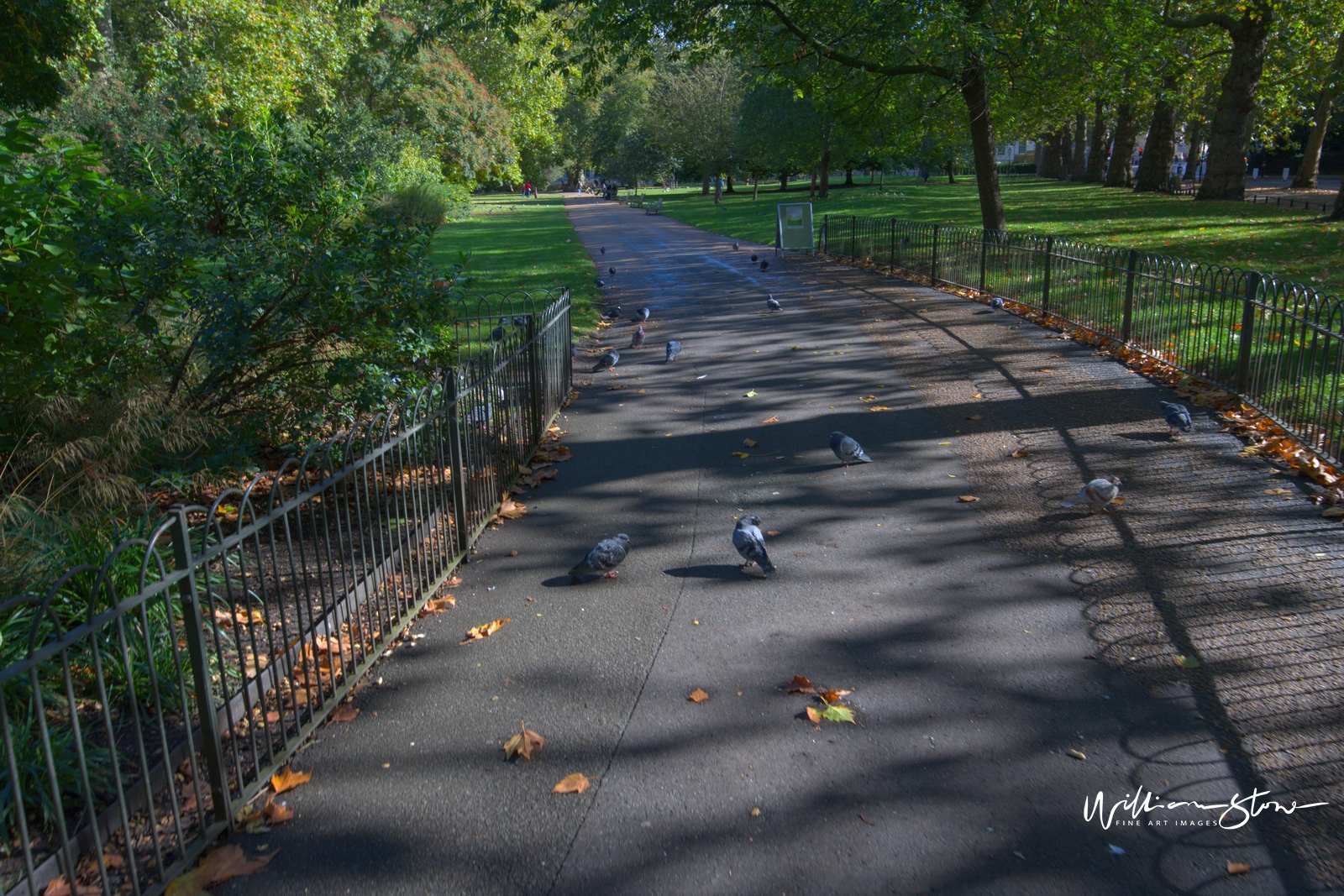 Fine Art, Limited Edition, Bird Gateway, London.