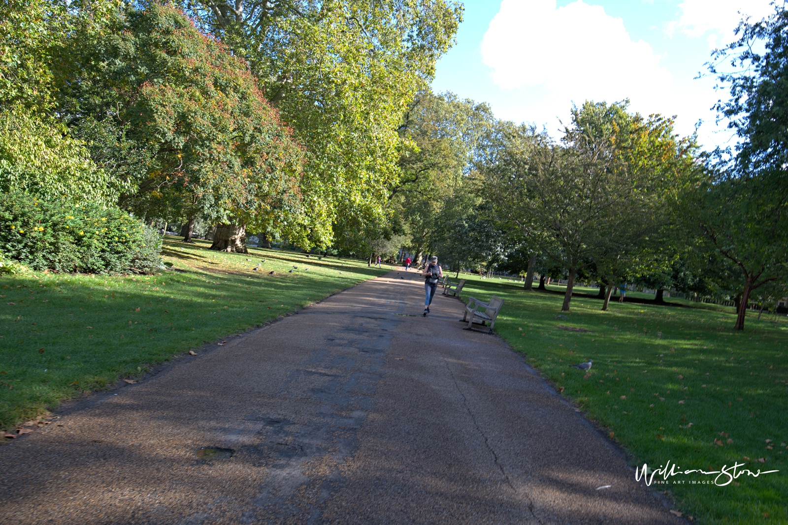 Fine Art, Limited Edition, Me Alone Here, London.