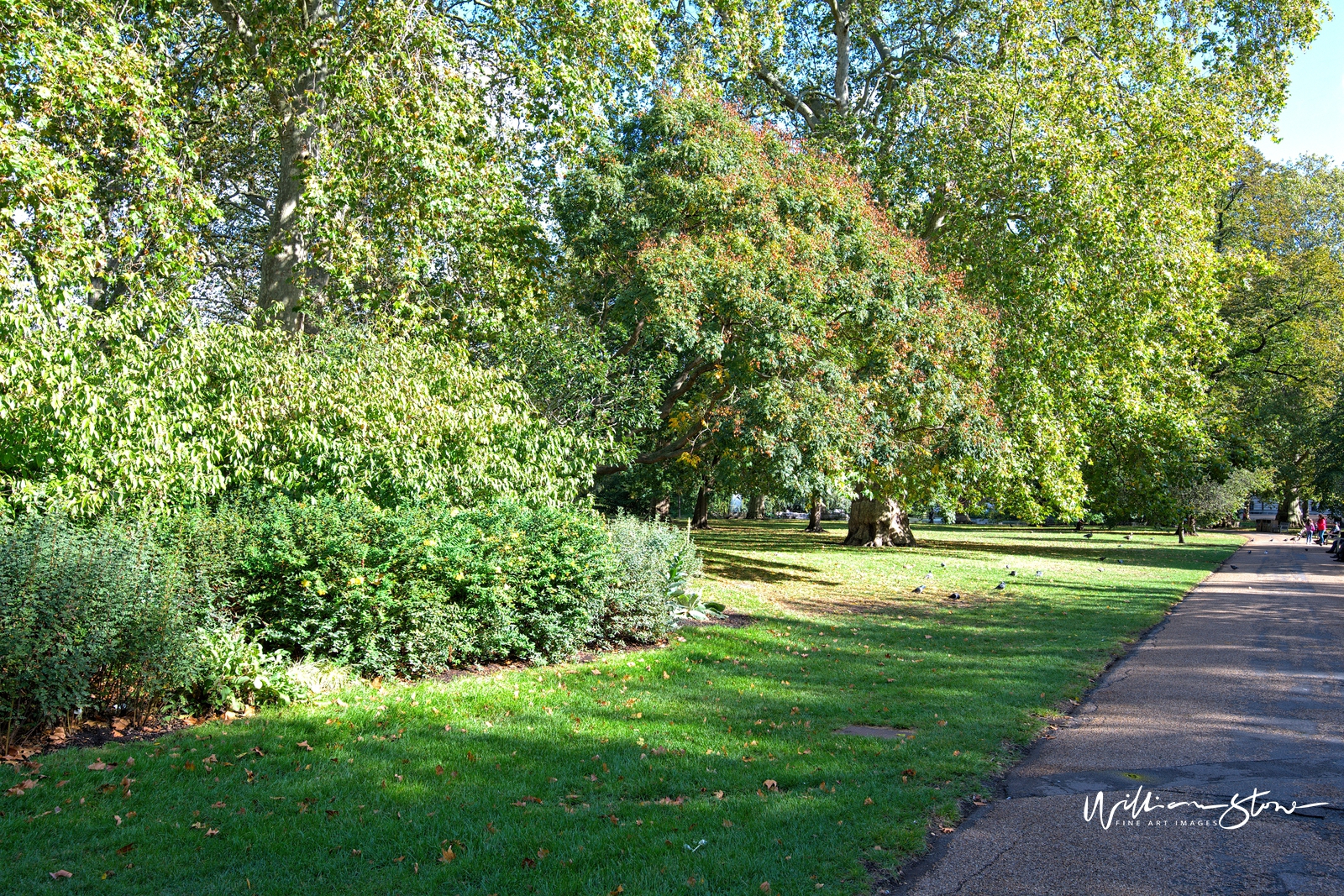 Fine Art, Limited Edition, Green in St James, London.