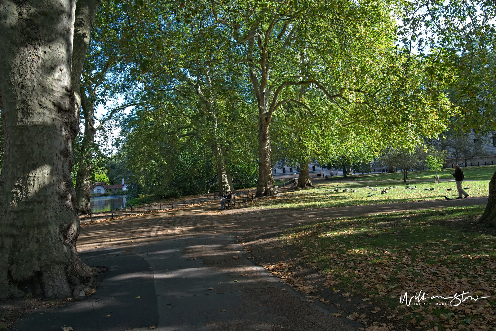 Fine Art, Limited Edition, Lone Man Strolling, London.