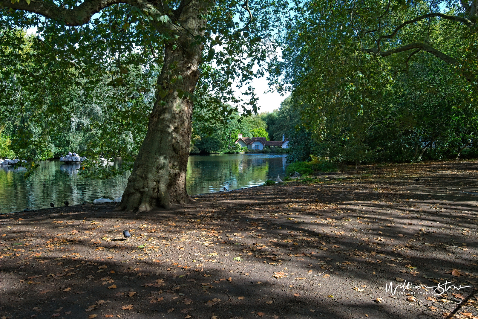 Fine Art, Limited Edition, Toward Marching Ground, London.