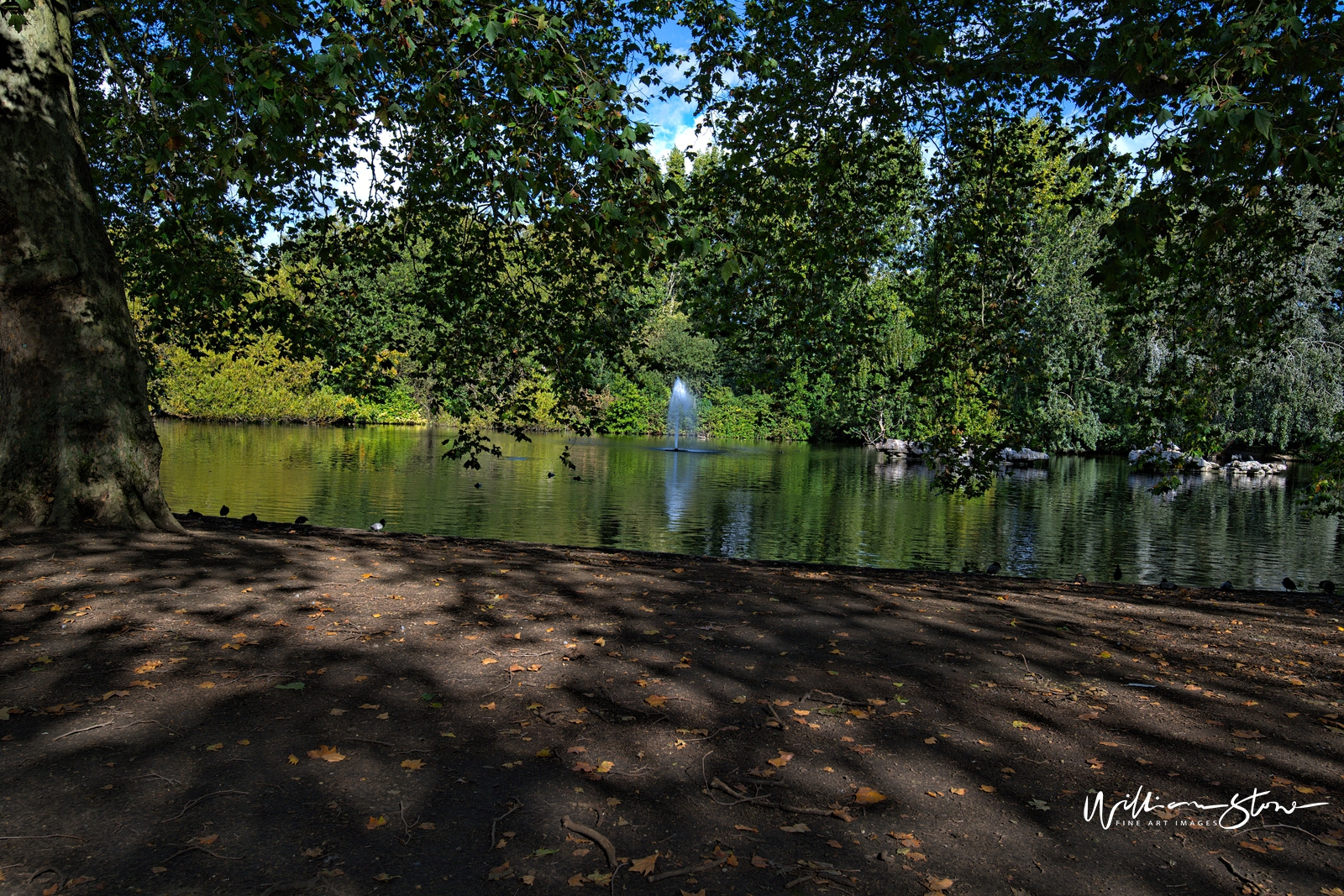 Fine Art, Limited Edition, Shaded Lake Front, London.