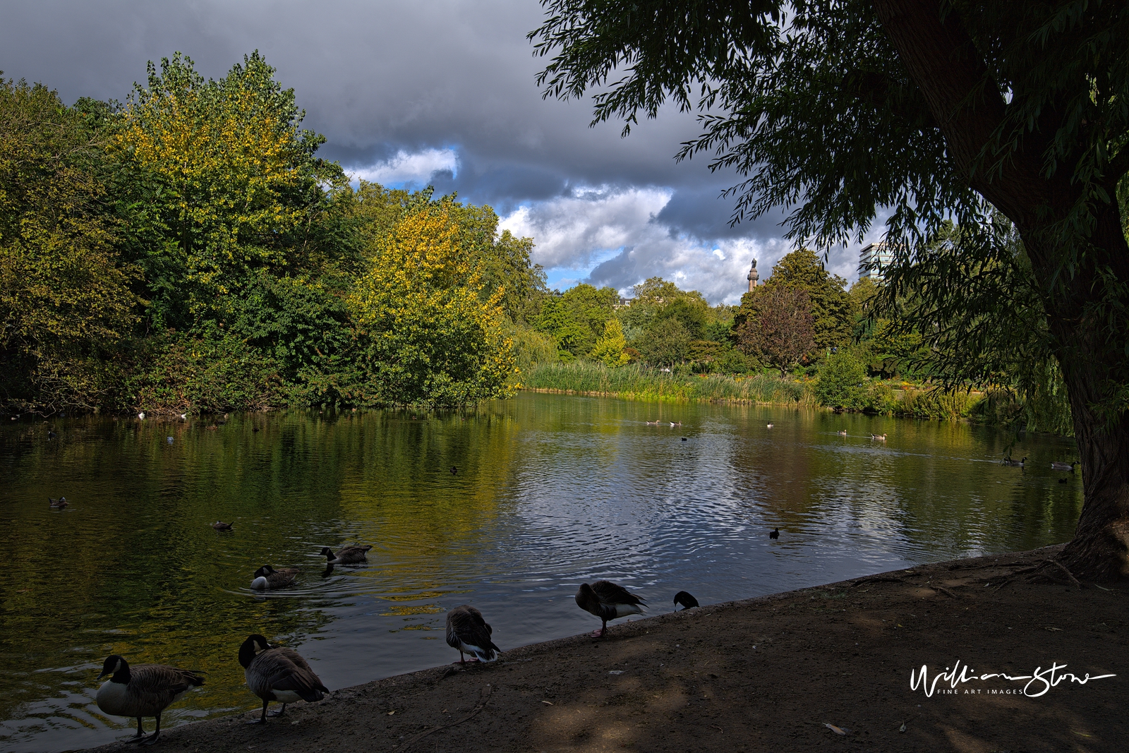 Fine Art, Limited Edition, Thirsty Ducks, London.