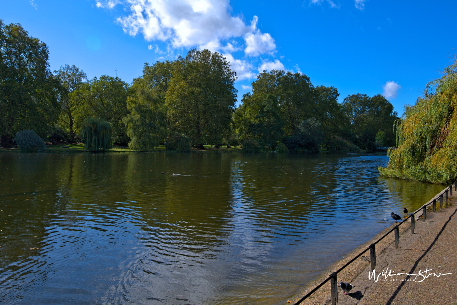 Fine Art, Limited Edition, Resting Place, London.