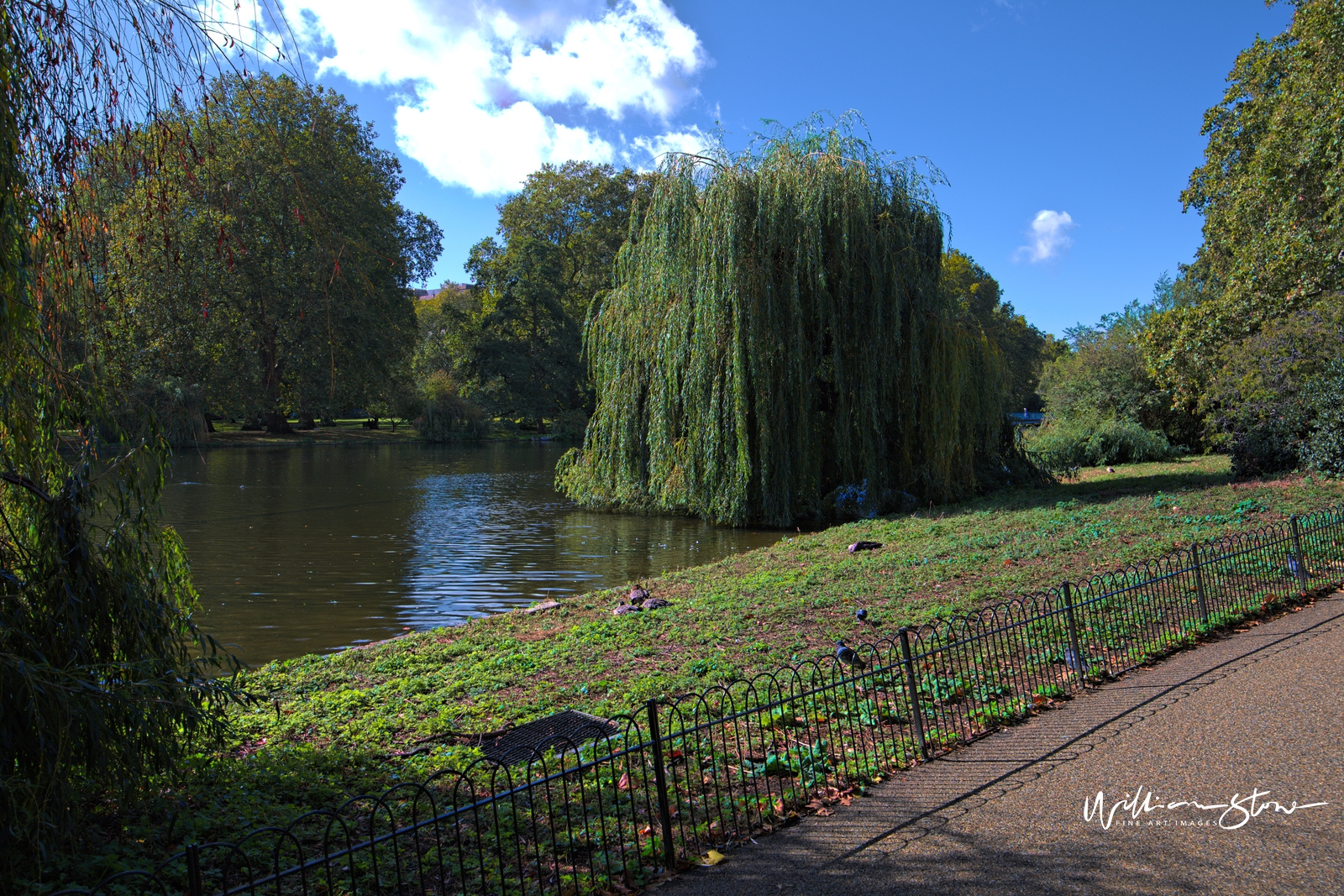 Fine Art, Limited Edition, Wept Tree, London.