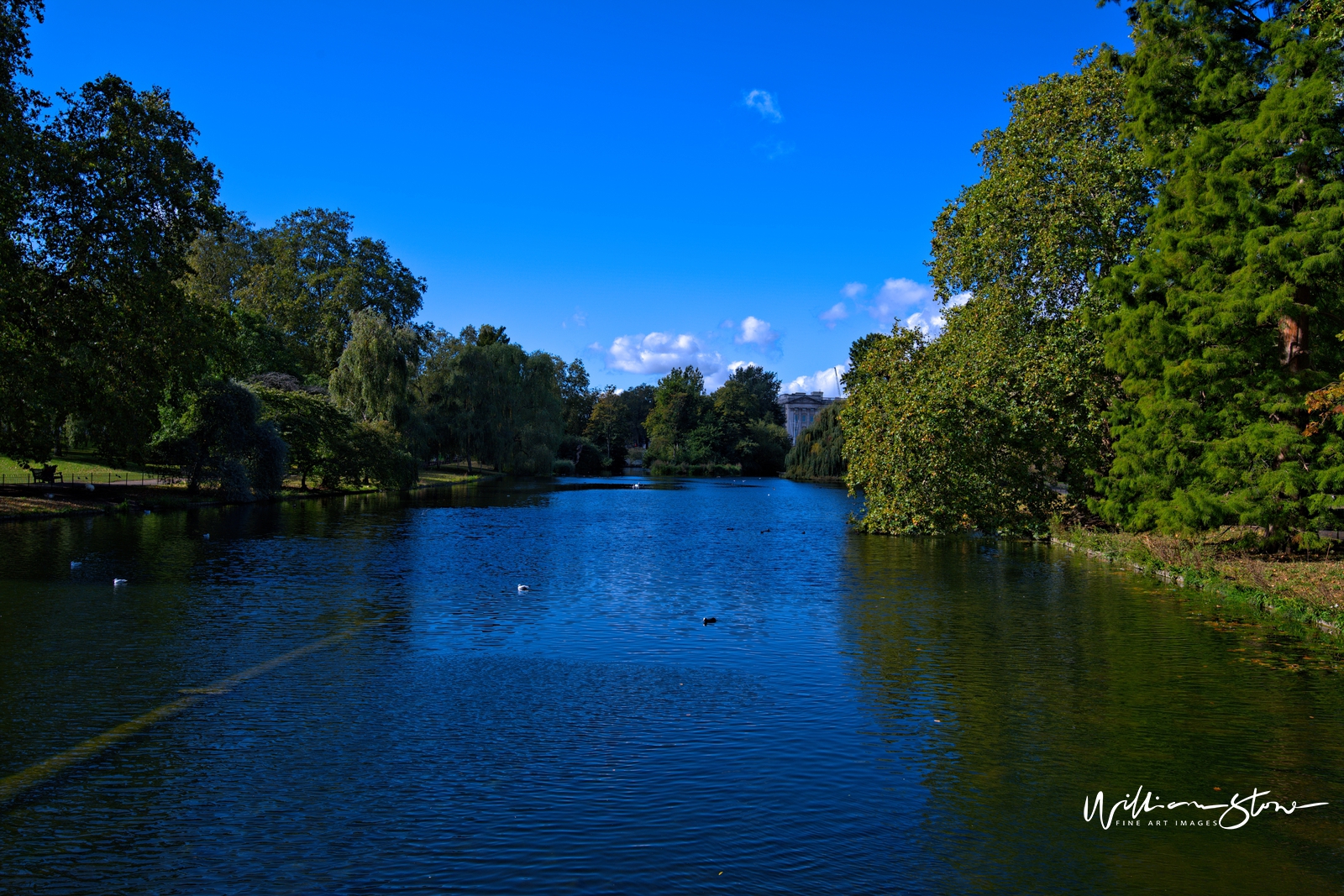 Fine Art, Limited Edition, Peace And Sun, London.