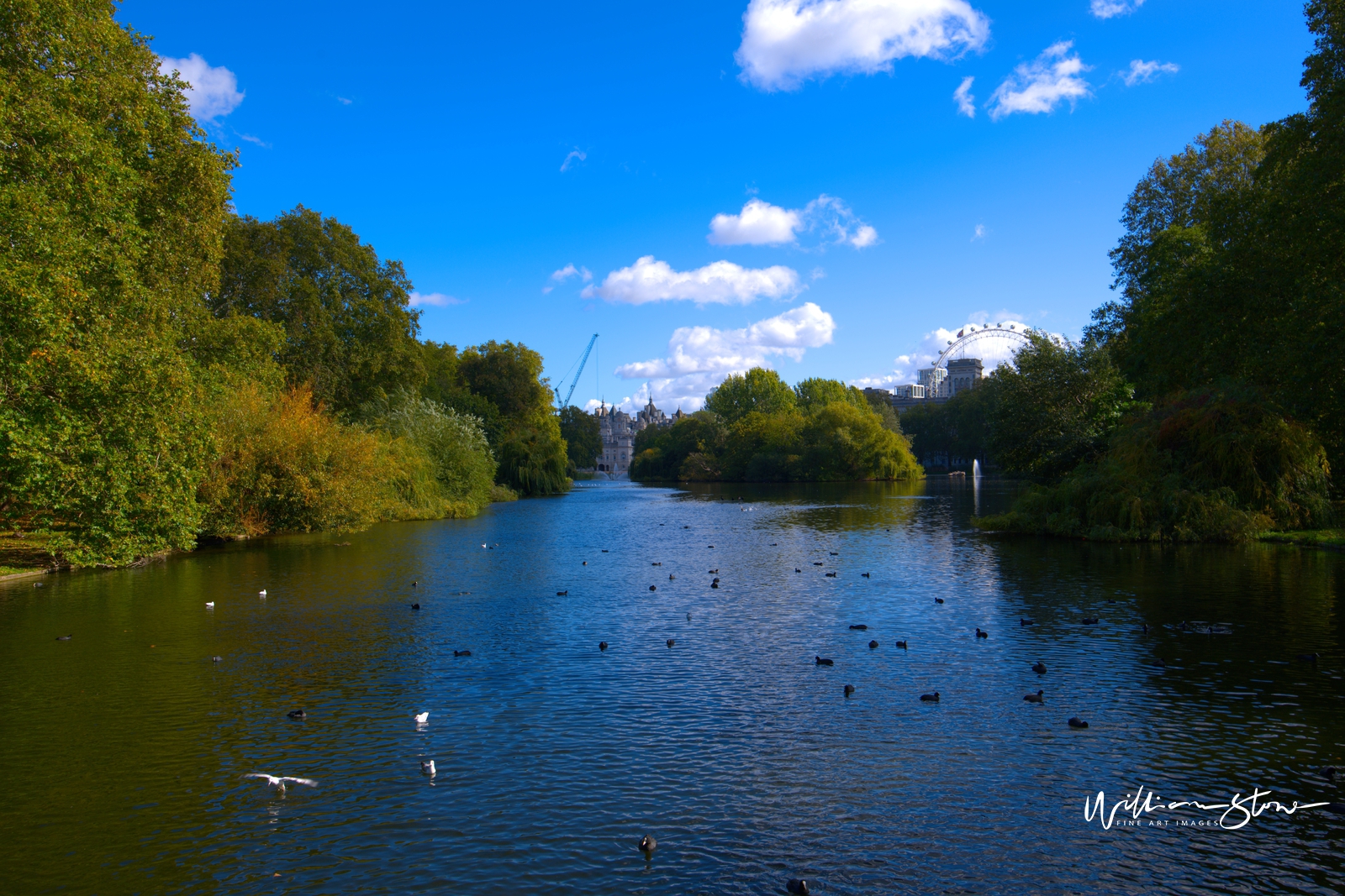 Fine Art, Limited Edition, Landing Bird, London.