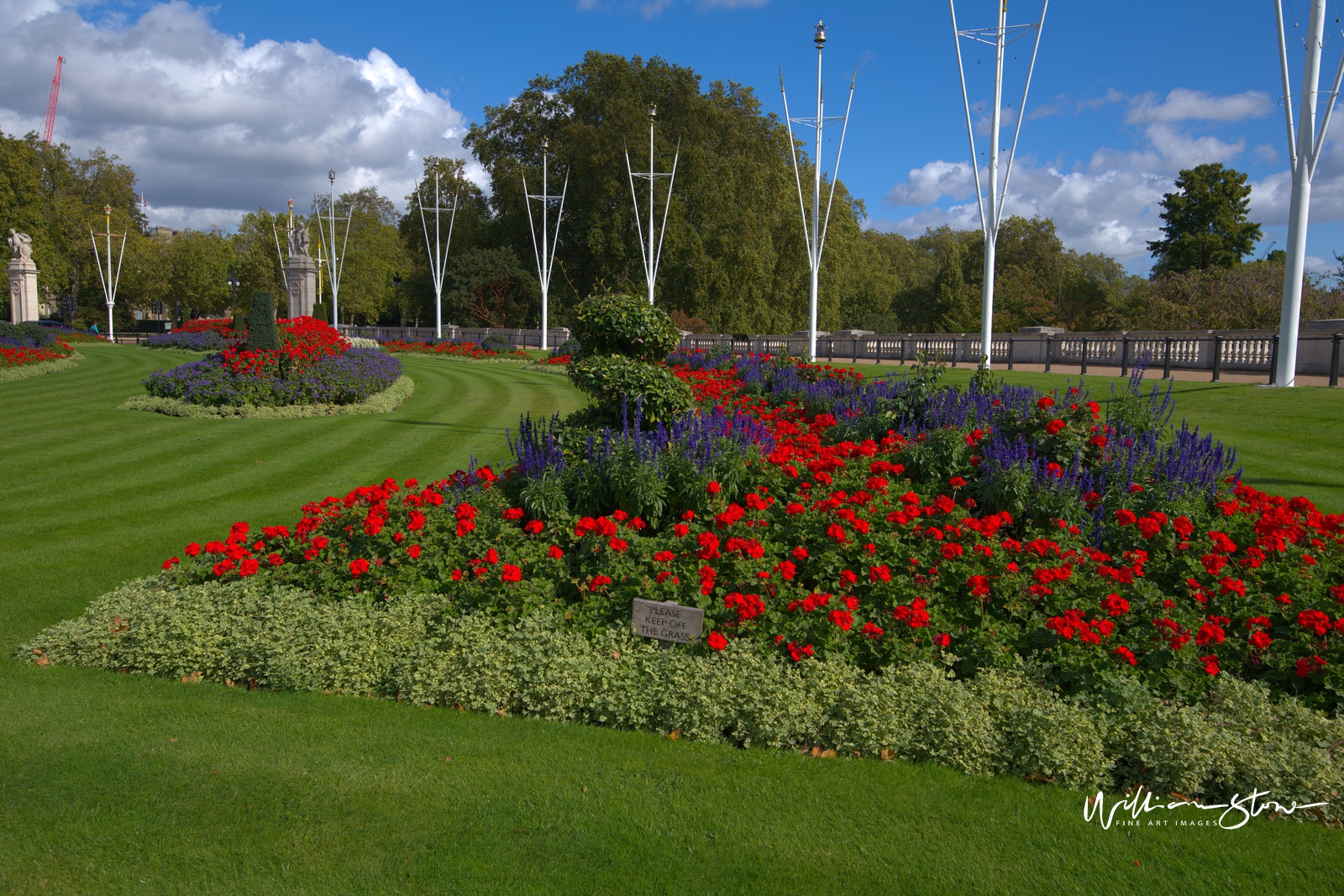 Fine Art, Limited Edition, Red Bed of Flowers, London.