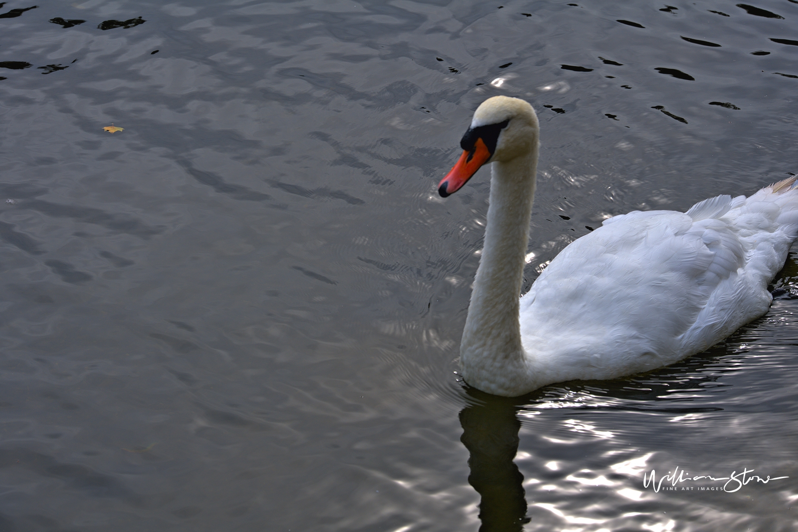 Fine Art, Limited Edition, The White Duck, London.