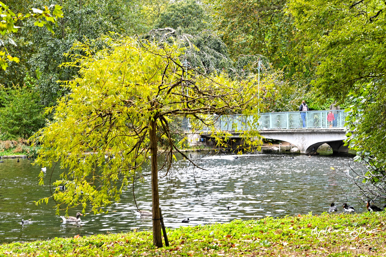 Fine Art, Limited Edition, The Bridge Too Far, London.